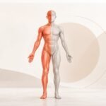 Vücudun bir yarısı renkli gösterilen anatomik figür; hemiplejideki tek taraflı güçsüzlüğü anlatan görsel